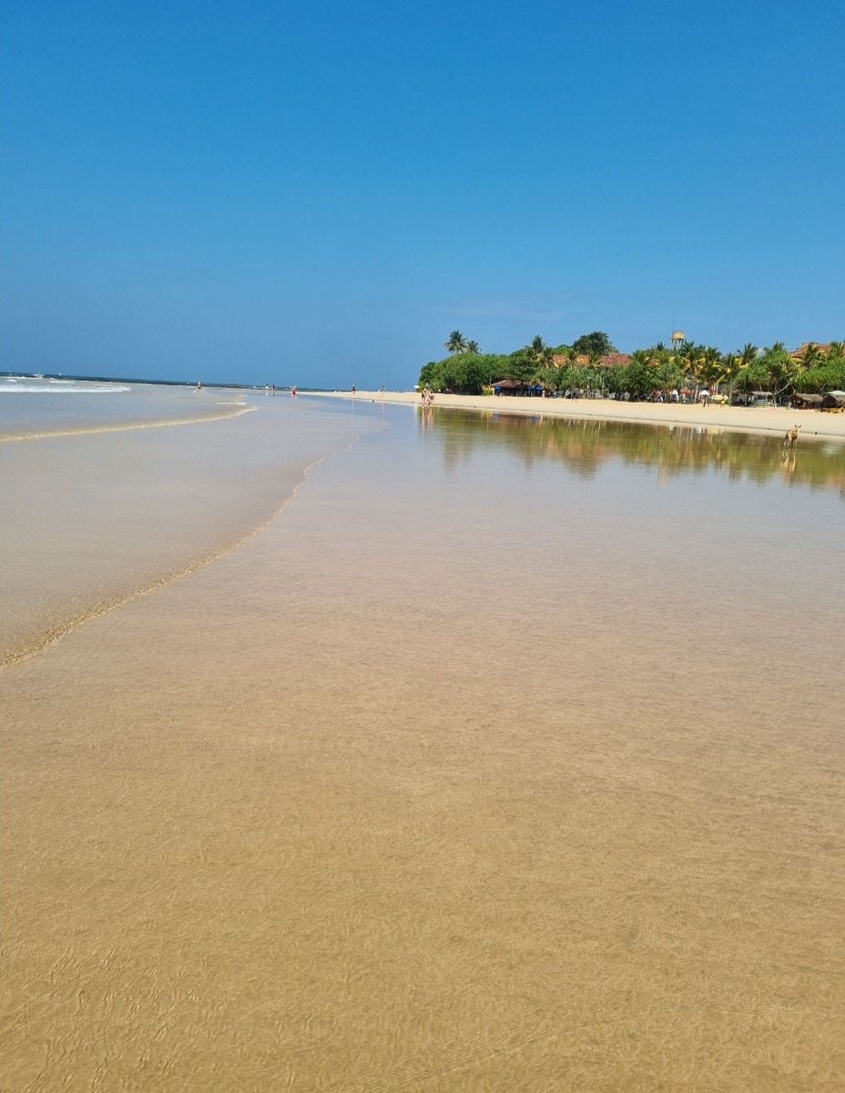 Фото автора статьи.