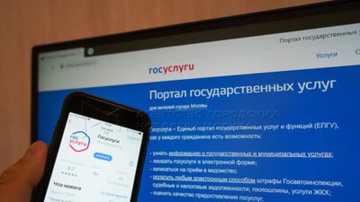    Портал «Госуслуги». Мобильный репортёр / АГН «Москва»