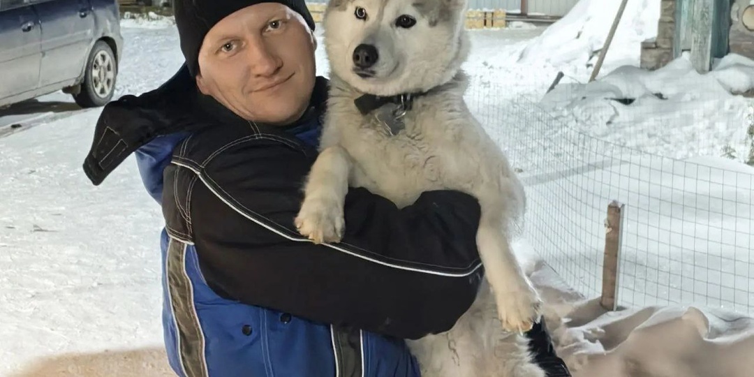 В приюте Брянска обрели новый дом 553 собаки