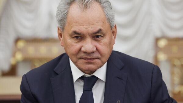    © Sputnik / Михаил Метцель / POOL