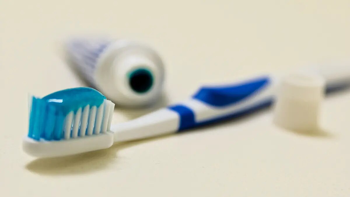    Фото: vm.ru Мария Михайлова