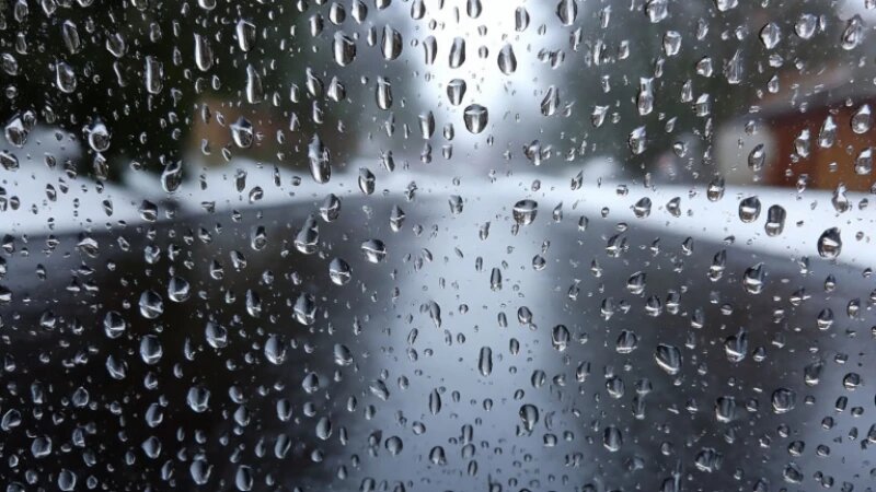     В Барнауле прошел первый в этом году февральский дождь. altapress.ru/ Шедеврум