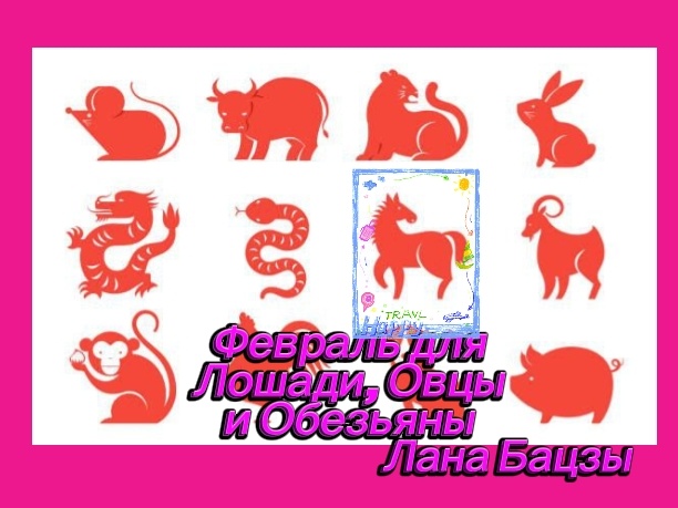 Прогноз на февраль для людей, рождённых в годы Лошади, Овцы и Обезьяны