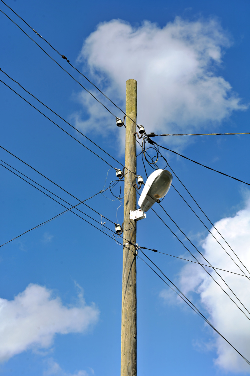 Фото: Владимир Солдатов.