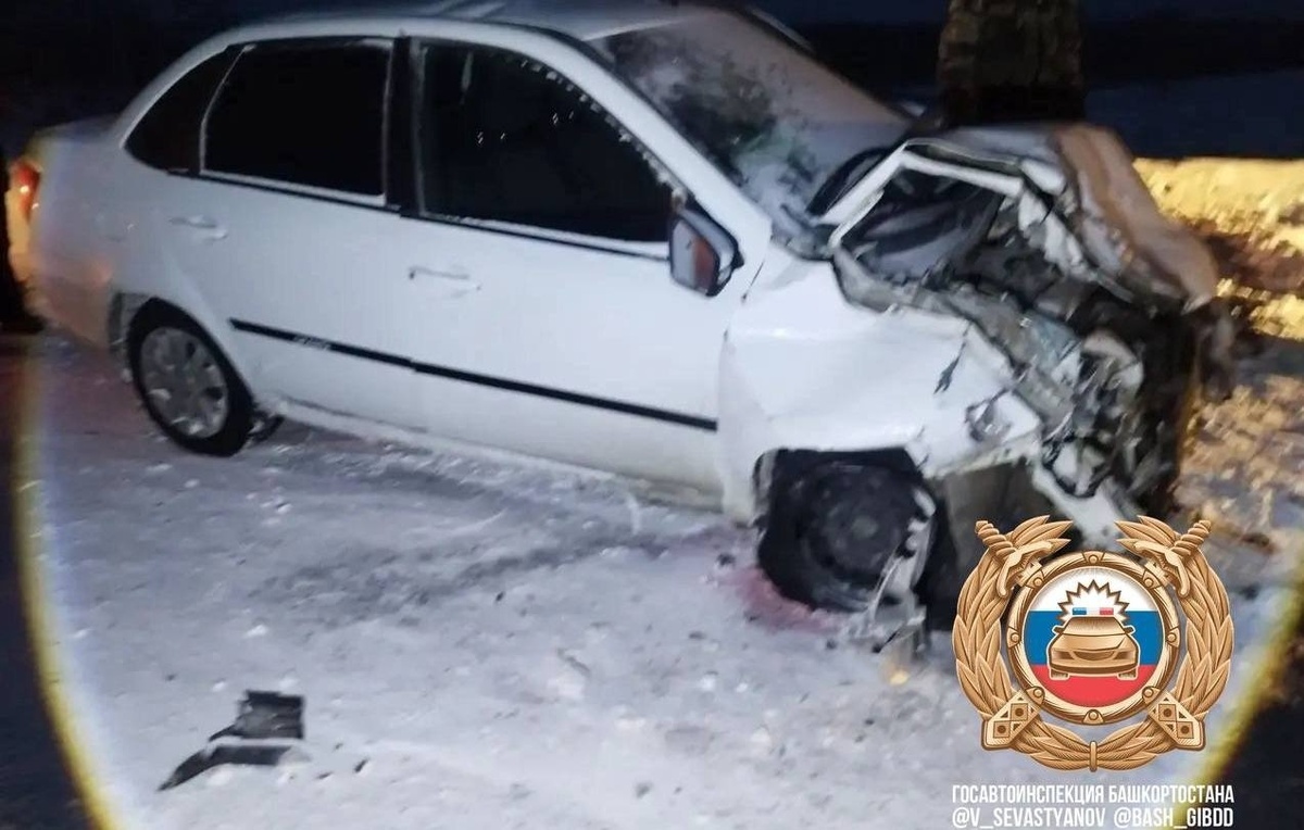 Официальный Telegram-канал Главного государственного инспектора безопасности дорожного движения Республики Башкортостан Владимира Севастьянова