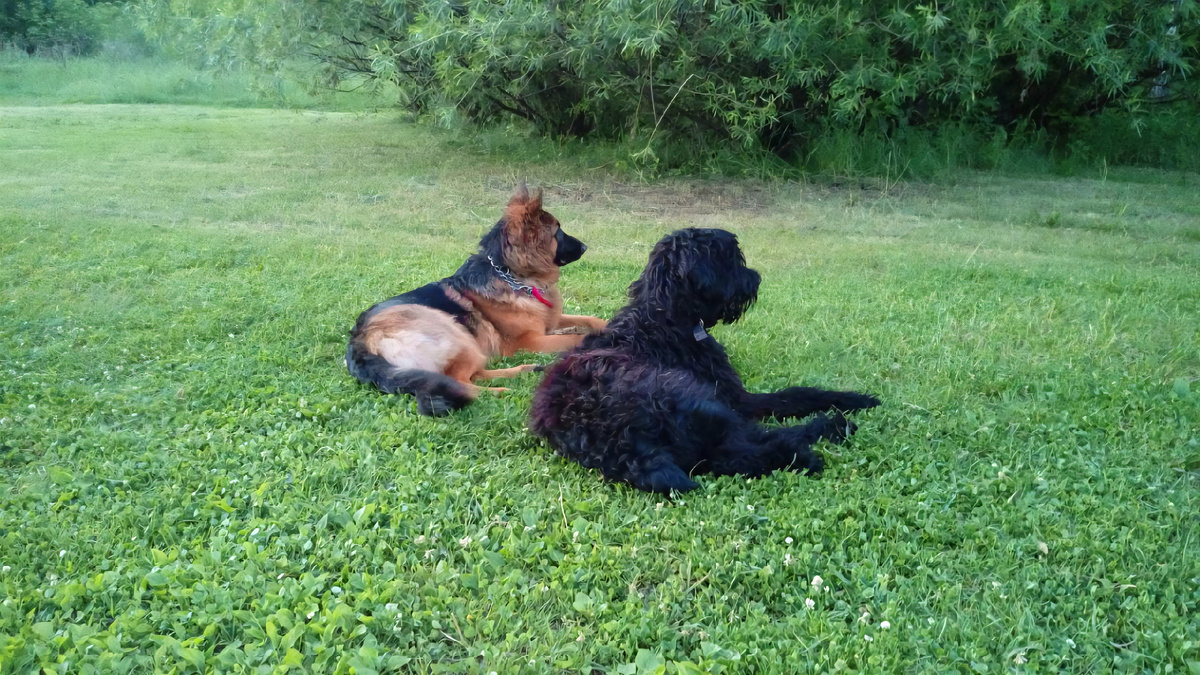 Отвага, мощь, интеллект = РЧТ