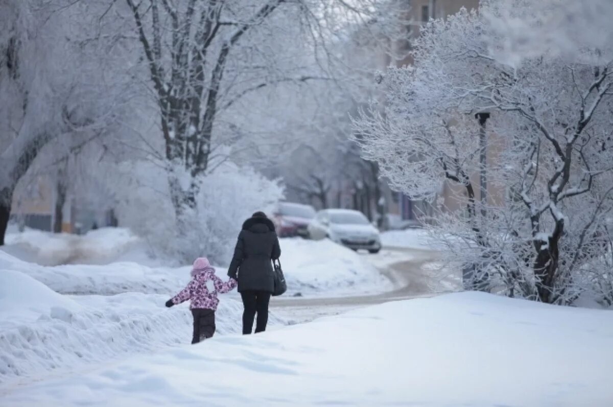    В Брянской области 11 февраля потеплеет до двух градусов ниже нуля