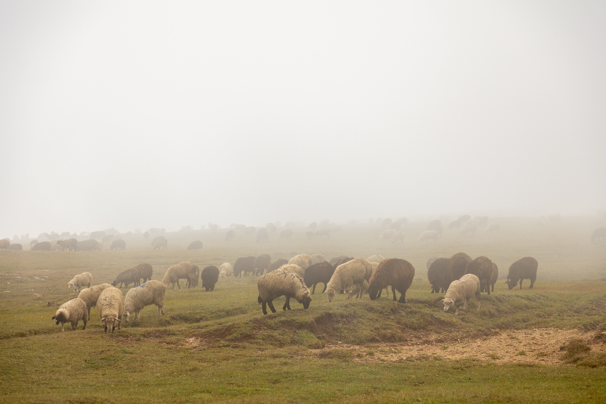 Фото: Денис Филатов, АВТОДЗЕН