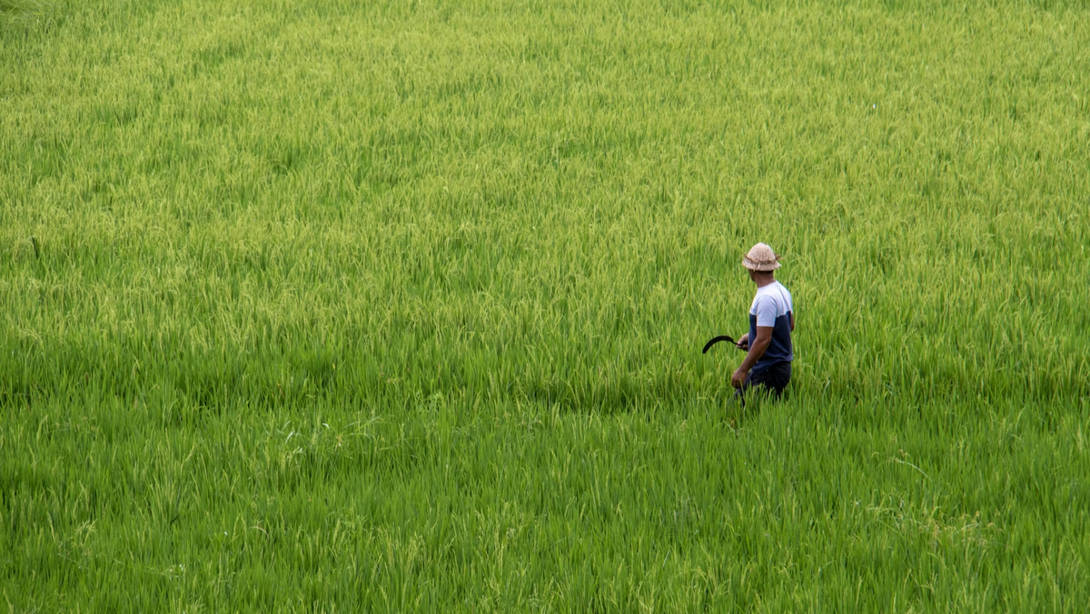     Nick Fewings/Unsplash