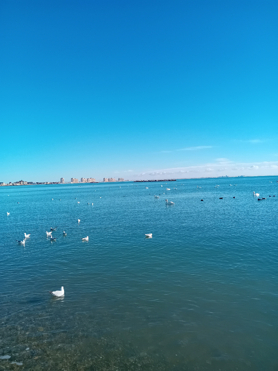 Авторское фото.