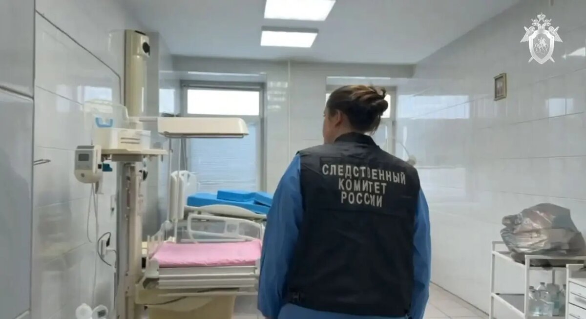    Фото: кадр видео СК России