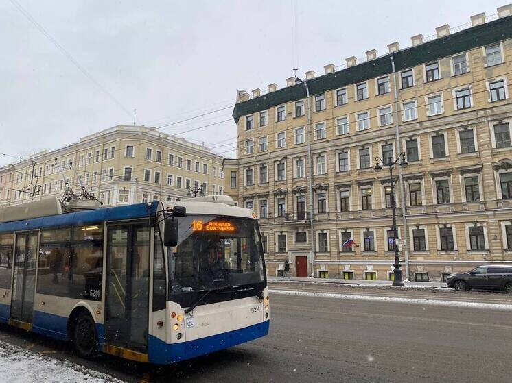     Сотрудники нескольких отделов прошли специальное обучение. Фото: архив МК в Питере