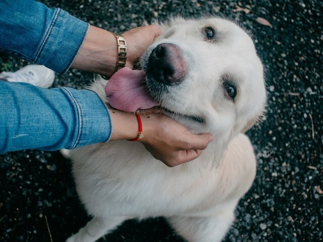    Фото: 123RF.com/josema2520