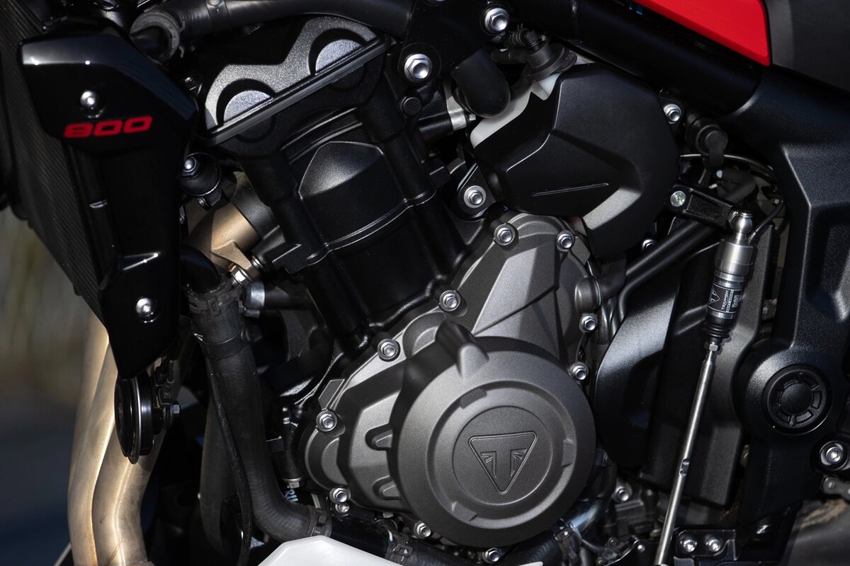 Triumph Trident 800 2026
