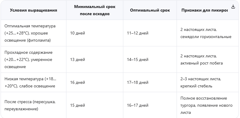 Таблица сроков пикировки в зависимости от условий выращивания