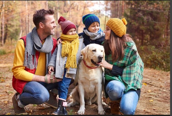 Счастливая семья. Фото в свободном доступе в интернете.