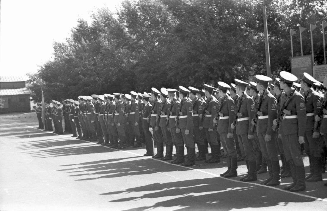 Фото из Яндекса. Спасибо автору. 