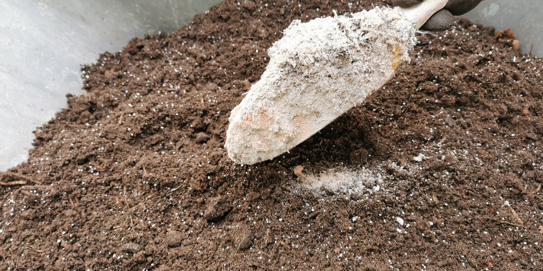 Простая процедура для здоровой и крепкой рассады. До посева