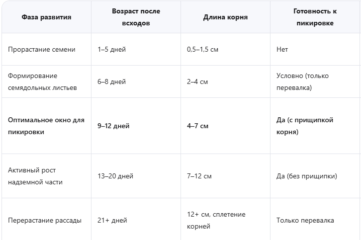 Фазы развития корневой системы томата и оптимальные сроки пикировки