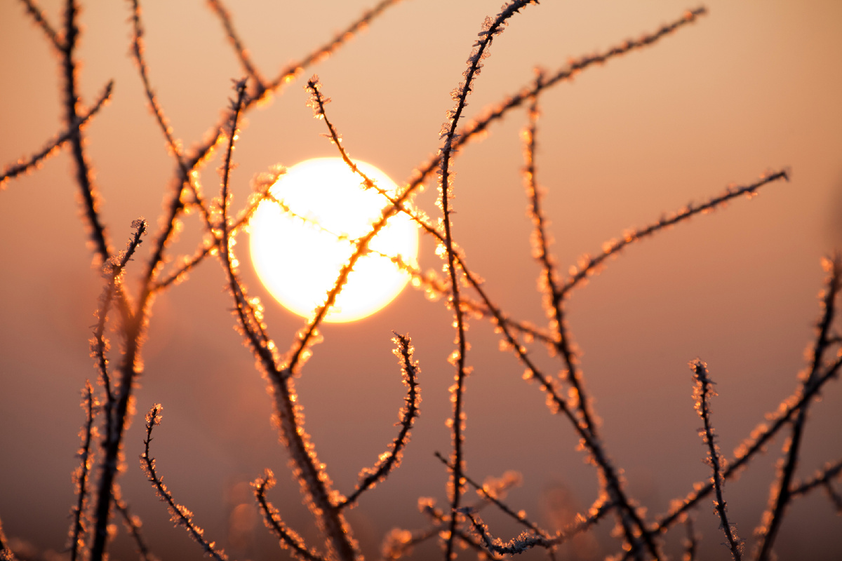 📸 Игорь Подгорный