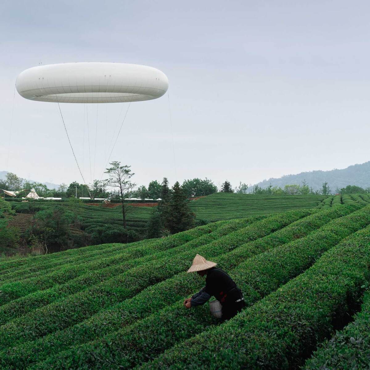 китайский лунцзин