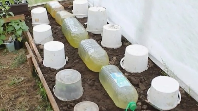 Испытание трех видов защиты от заморозков показывает преимущество ящиков