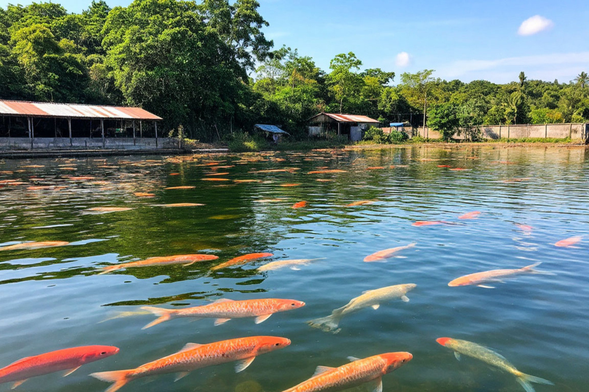    Фото: коллаж RuNews24.ru