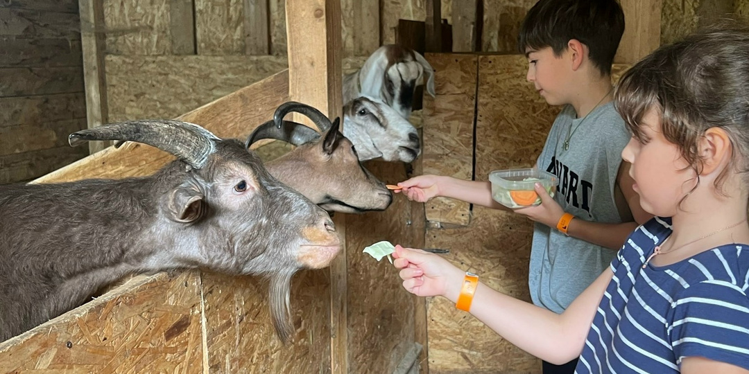 10 идей досуга на СО