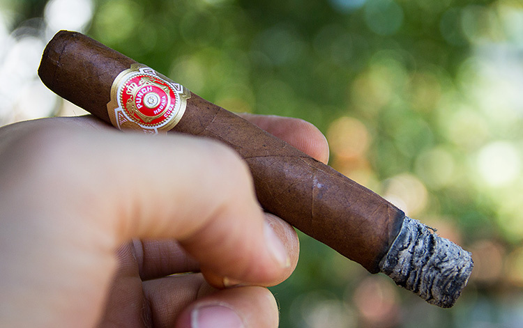 Сигара Punch Coronations Tubos, Фото smokersmag.com