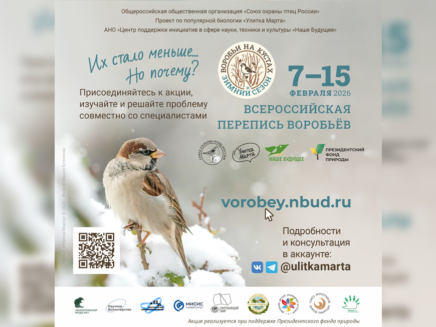 Фото с сайта https://vorobey.nbud.ru/