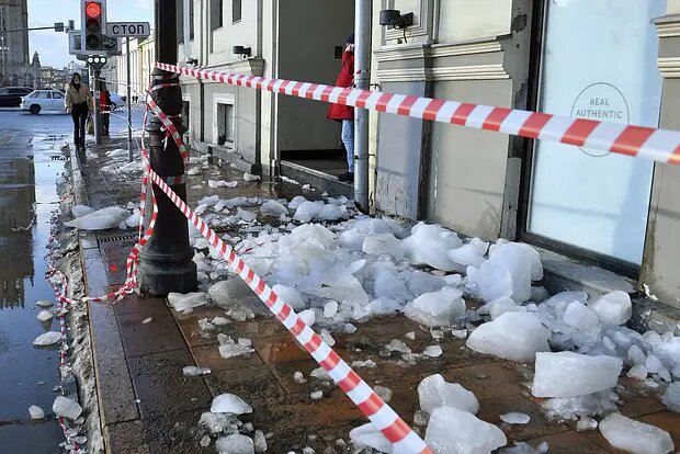    Фото: lenta.ru Диана Петровская