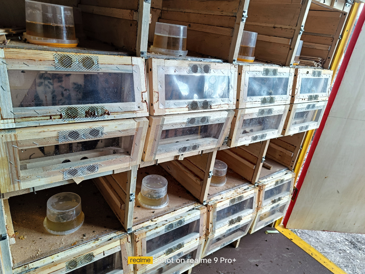 Весенняя стимулирующая подкормка