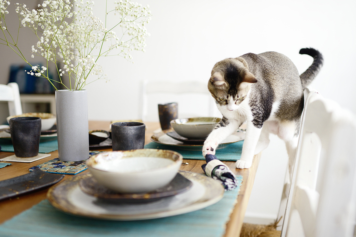 Фото с сайта: https://www.stiridinlume.ro/?p=74319