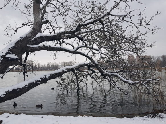    Фото: Элина Болдырева / Югополис