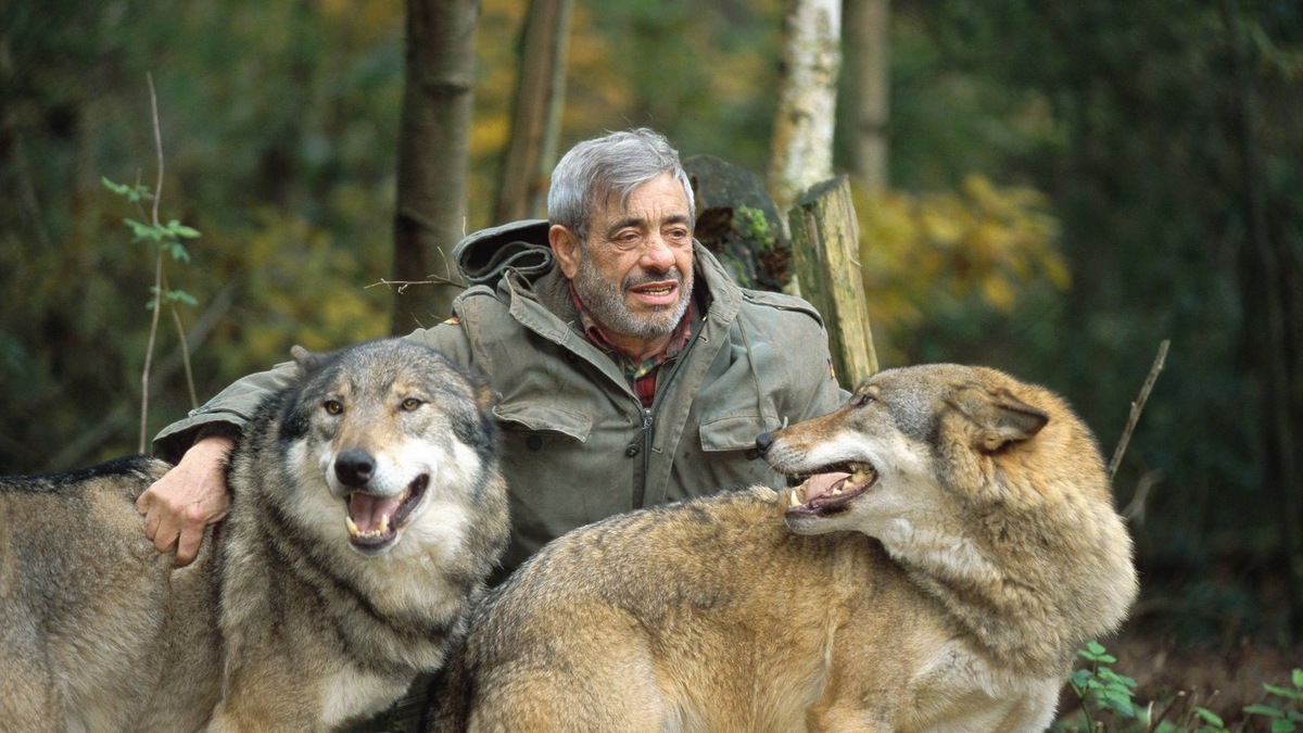    Вернер Фройнд со своими волками