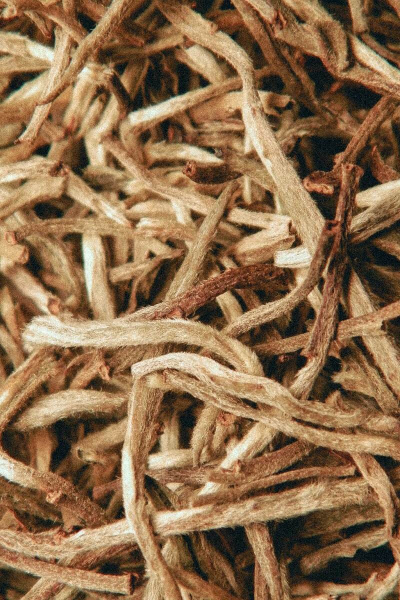 Бай Хао Инь Чжень как заваривать