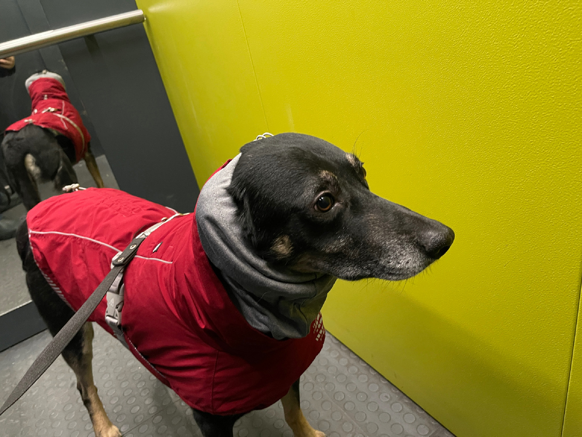 Это, кстати, я, кто меня еще не знает 😅 И я здесь даже очень утеплен! Это было, когда на улице было очень холодно 🥶 