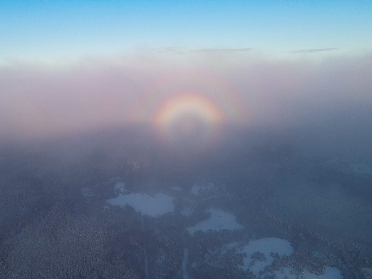    фото: © Нижне-Свирский государственный заповедник/VK