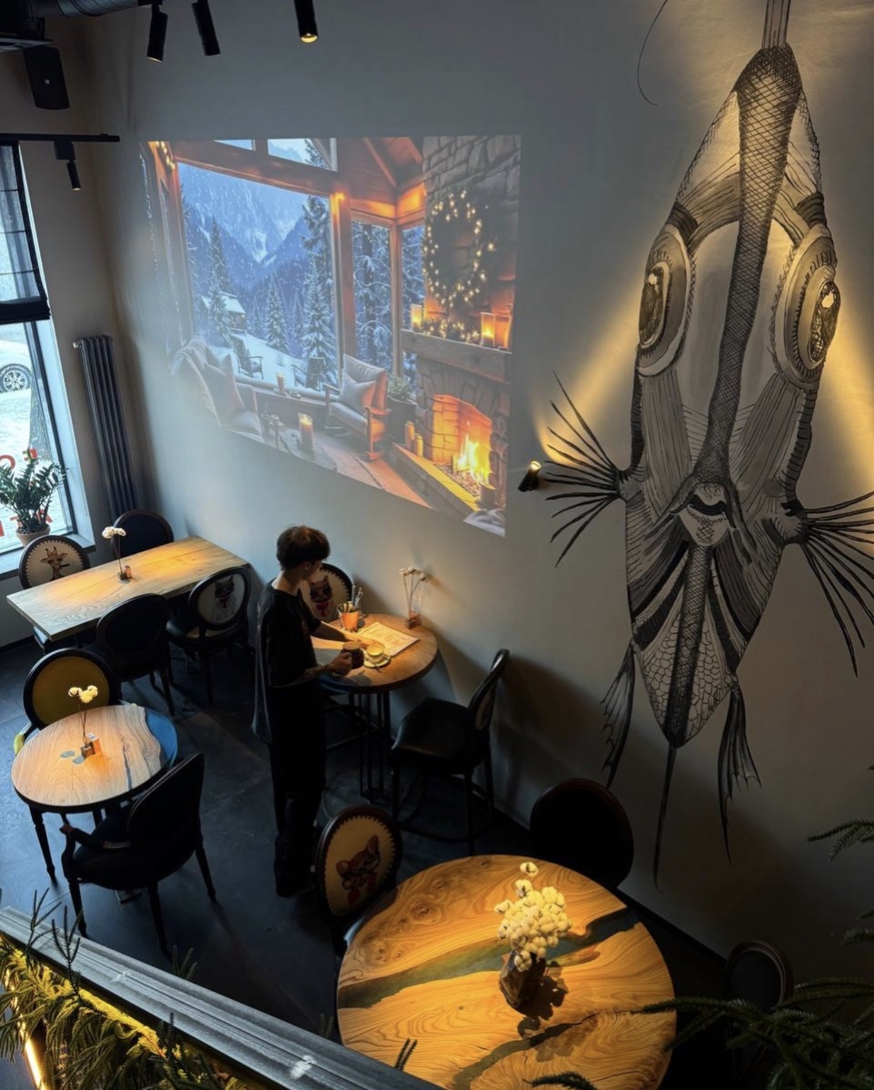 Смотрим варианты 