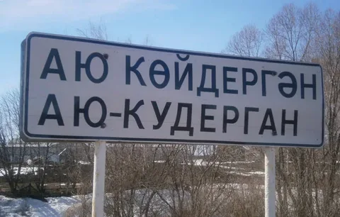 Как жители татарского села прогнали медведя и... чекистов...