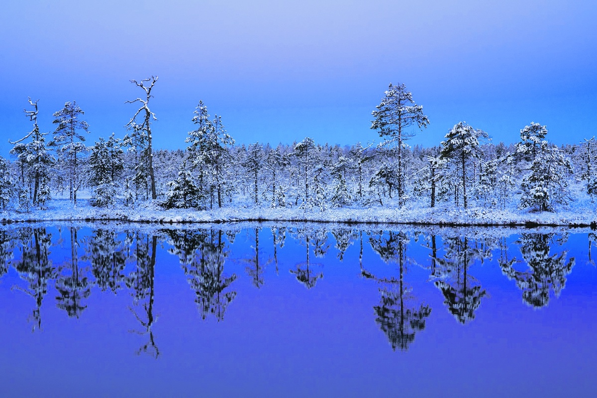 Небольшое озерцо среди болот после ноябрьского снегопада в Ленинградской области 
выглядит будто в сказке. Автор - Алексей Харитонов.
