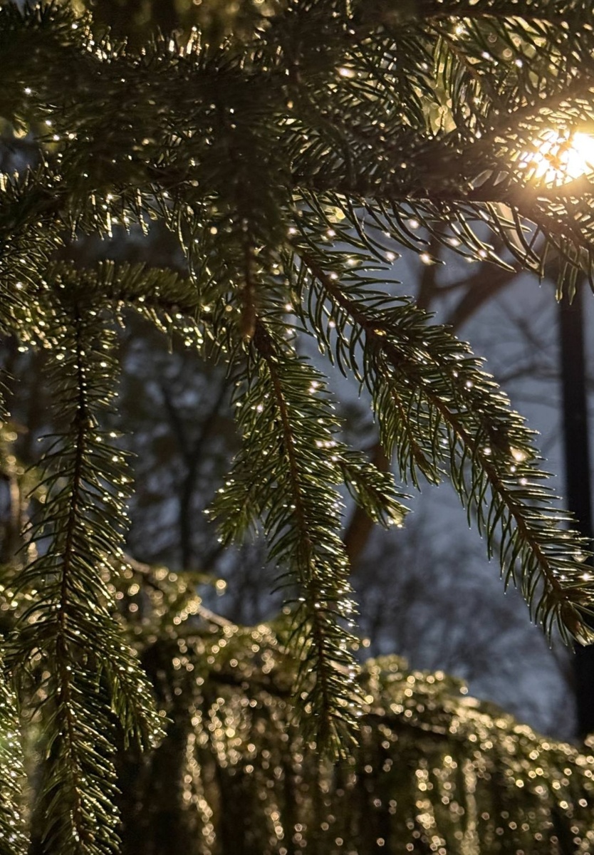 Это - просто, кто-то очень горько плакал. 