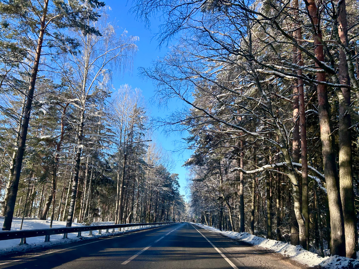 Приморское шоссе вдоль берега Финского залива на Карельском перешейке.