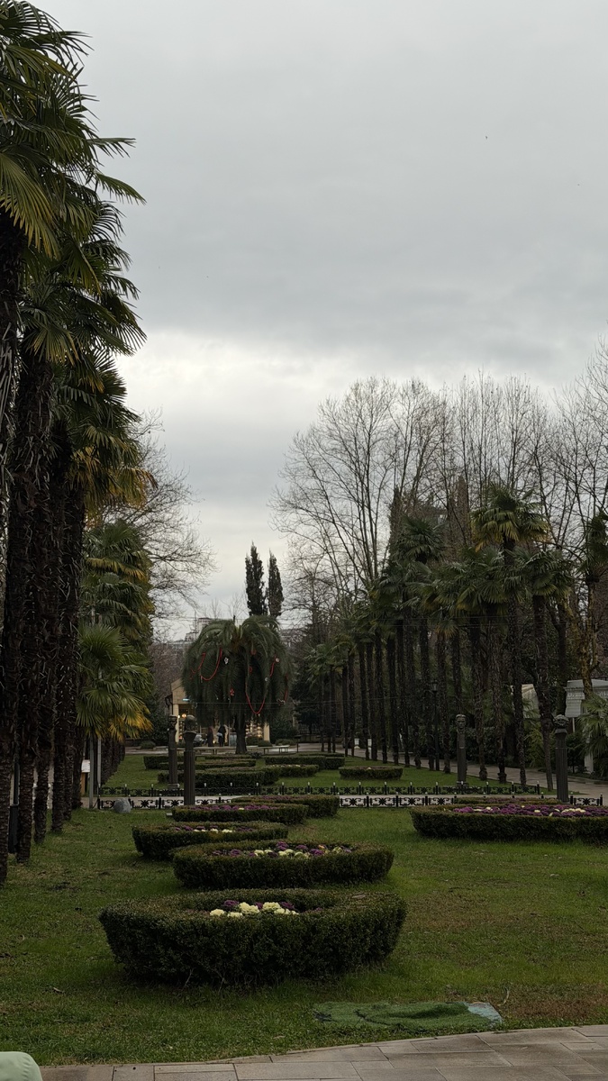 Парк Ривьера зимой, Сочи