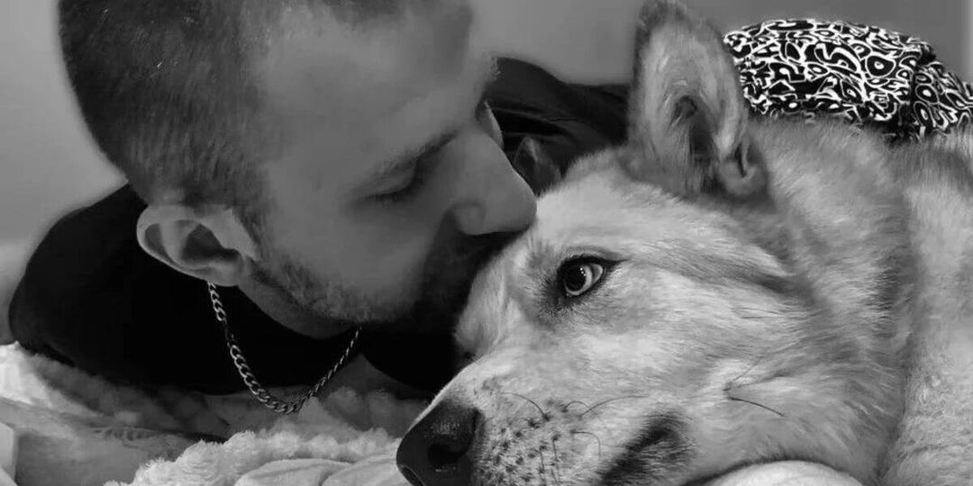 В Брянске из приюта в добрые руки передали 553 собаки