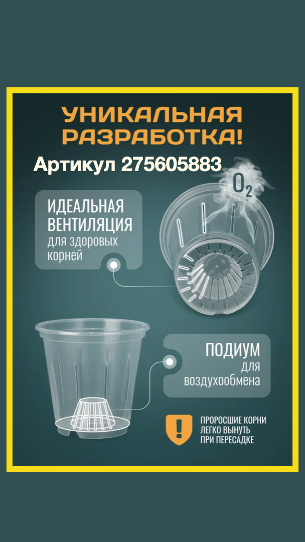 Горшок BELONO. Орхидеи с Еленой Кузнецовой