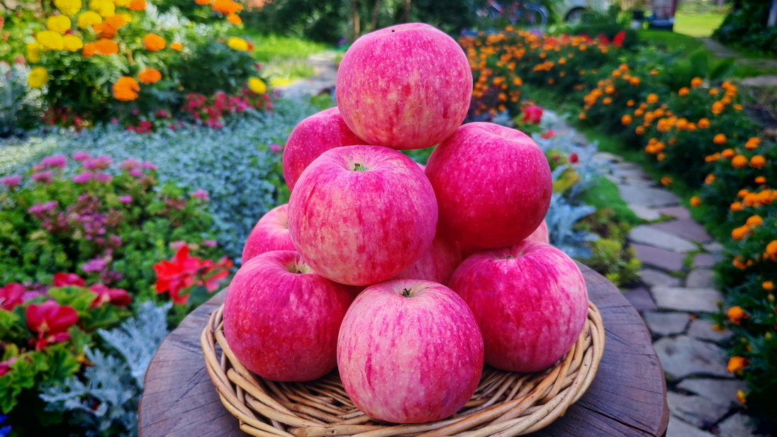 Поливитаминное. Фото автора.