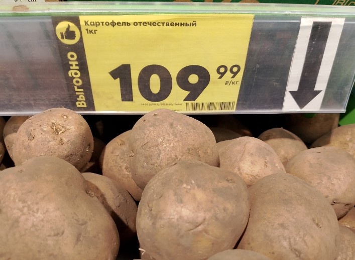 Личное фото автора. Зима 2025 г