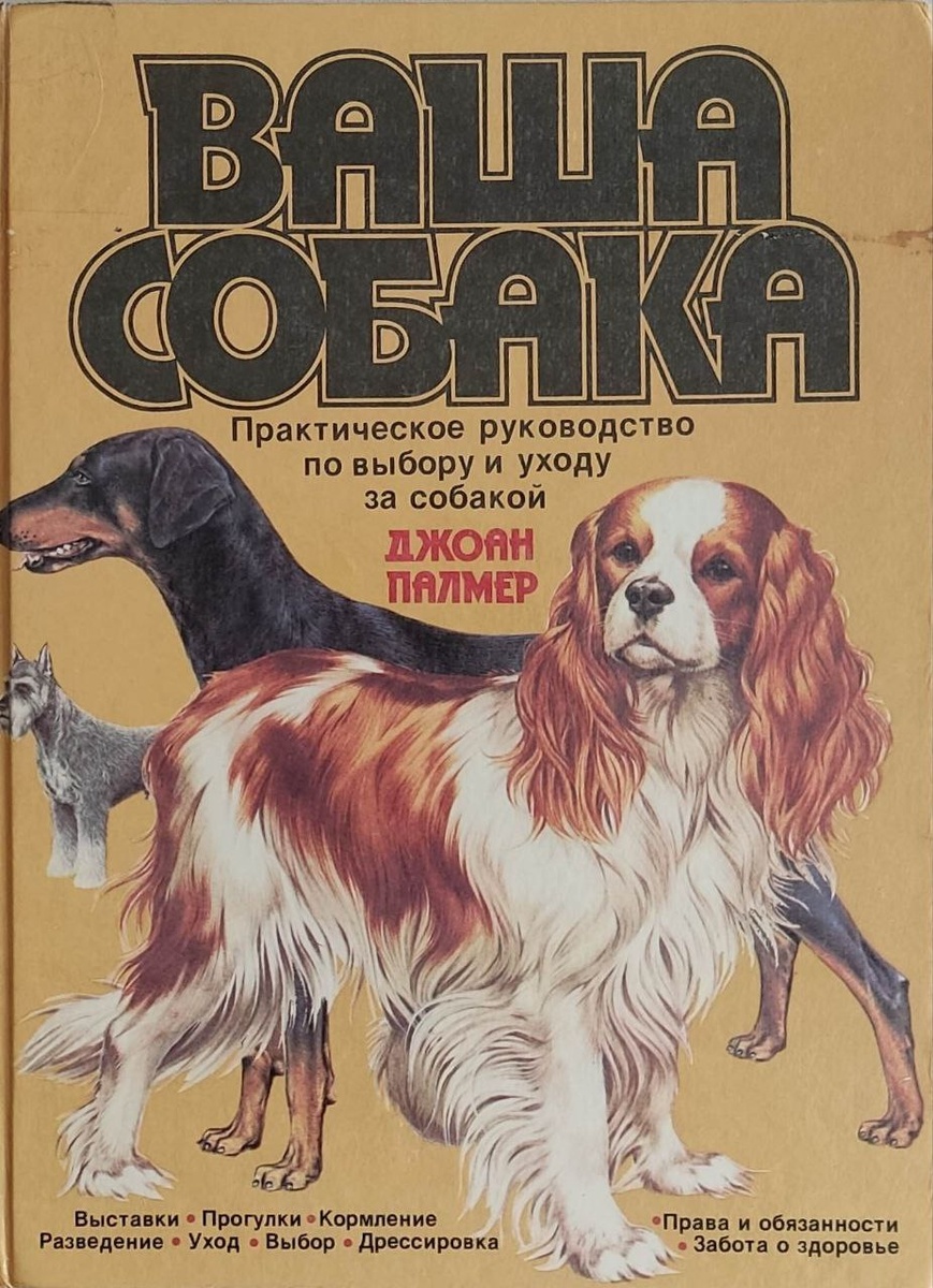 Признавайтесь, все читали?