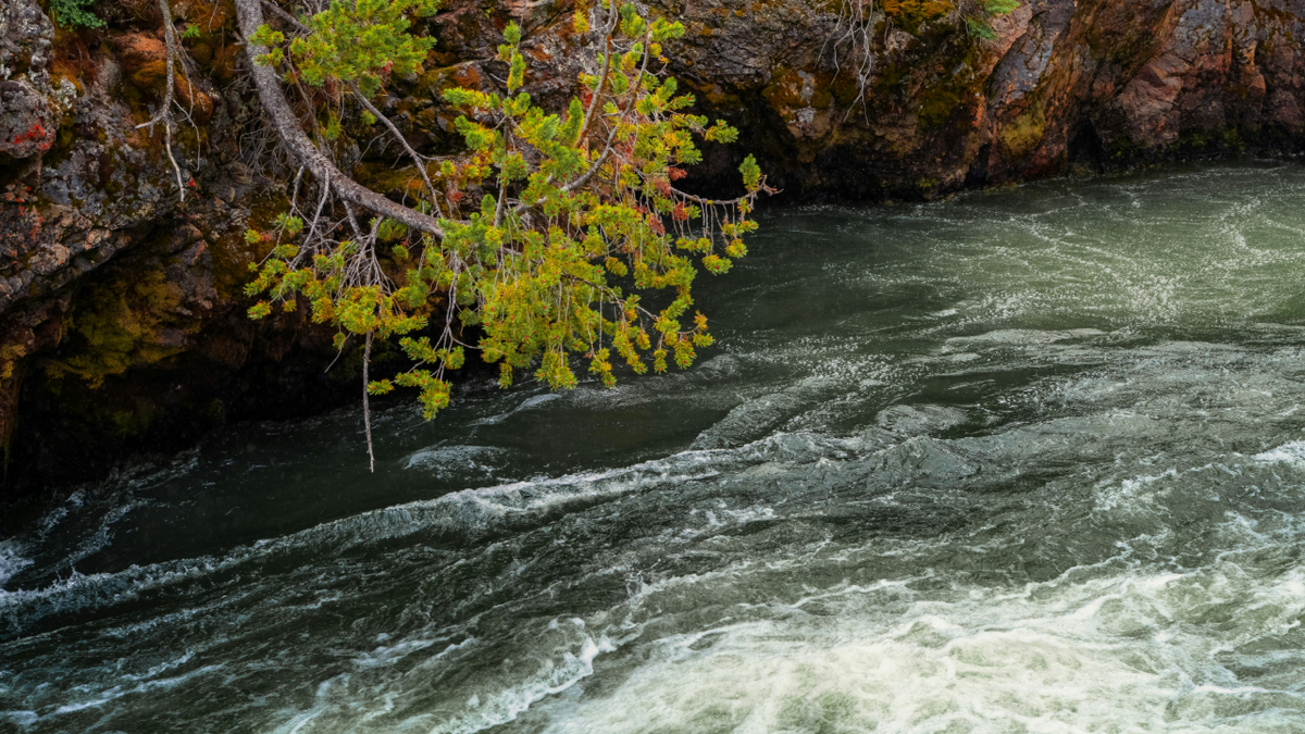 Берег держится ровно до тех пор, пока вода не решит иначе